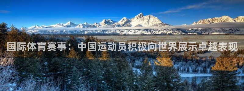 国际体育赛事：中国运动员积极向世界展示卓越表现