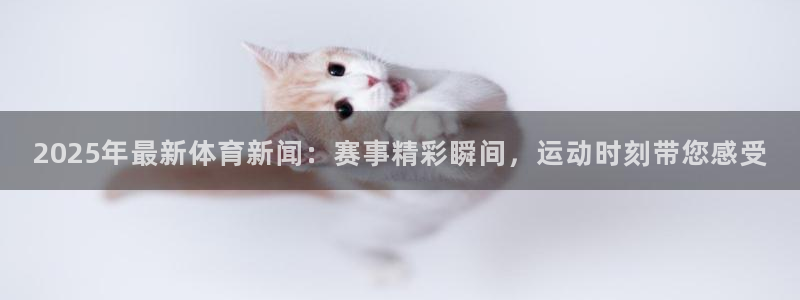 2025年最新体育新闻：赛事精彩瞬间，运动时刻带您感受