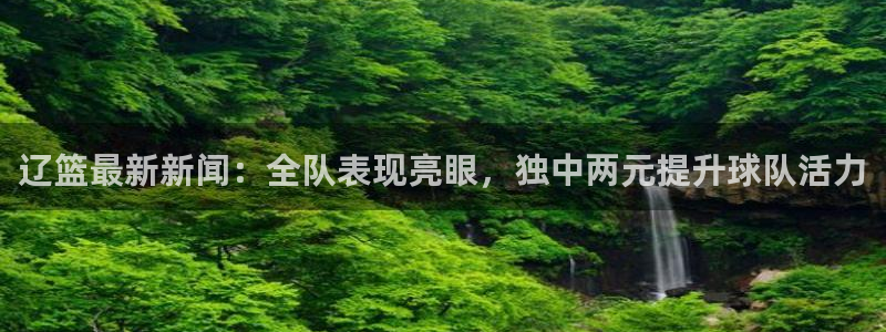辽篮最新新闻：全队表现亮眼，独中两元提升球队活力
