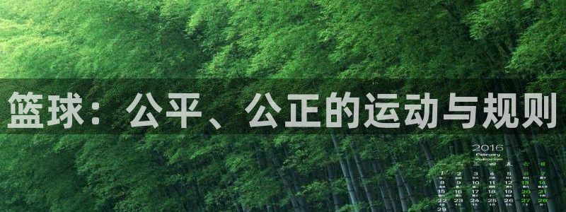 篮球：公平、公正的运动与规则