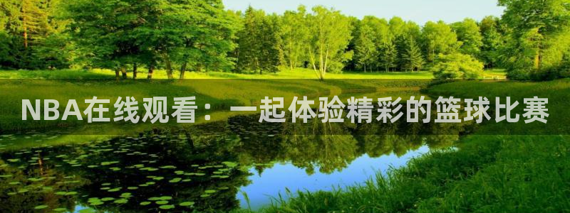 NBA在线观看：一起体验精彩的篮球比赛