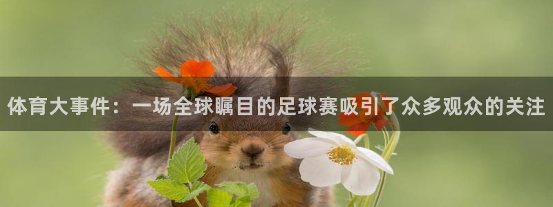 体育大事件：一场全球瞩目的足球赛吸引了众多观众的关注