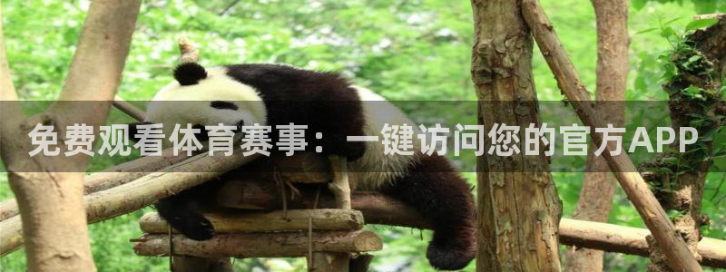 免费观看体育赛事：一键访问您的官方APP