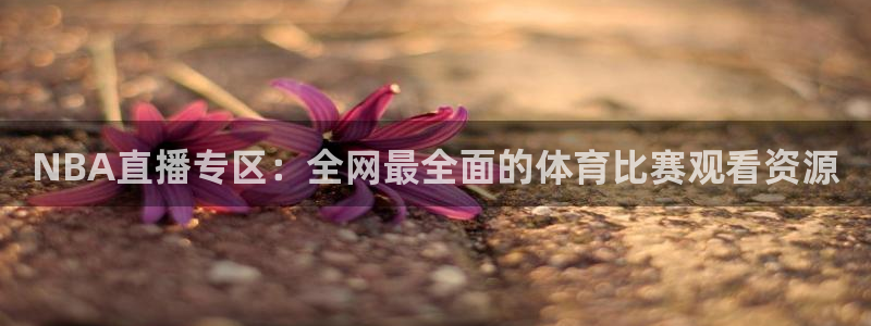 NBA直播专区：全网最全面的体育比赛观看资源