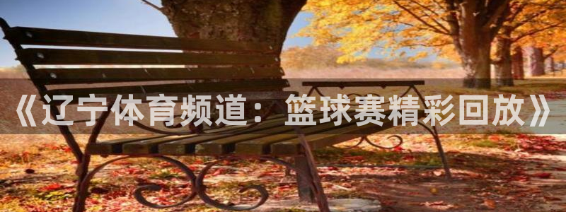 《辽宁体育频道：篮球赛精彩回放》